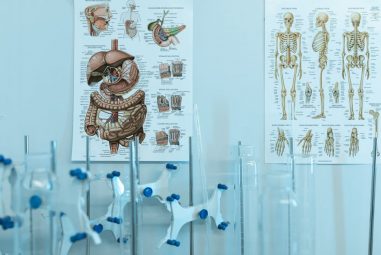 Az emésztőrendszer méregtelenítése: Lépésről lépésre a jobb közérzetért